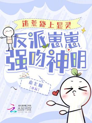 没钱离婚txt