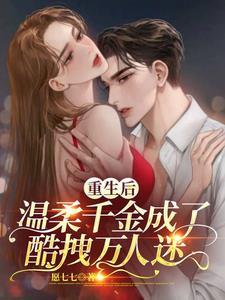 二嫁夫by无边客