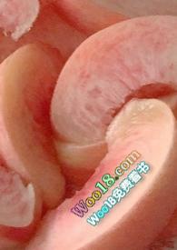 单恋一枝花歌词