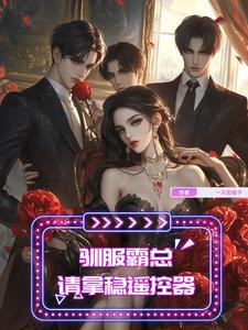 副总的老婆叫什么