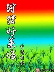 水晶塔任务列表