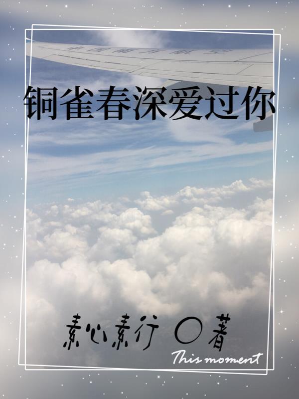 总统府文案