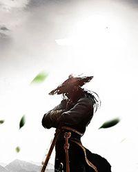 宋武屠龙 epub