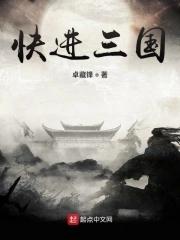 快进三国演义