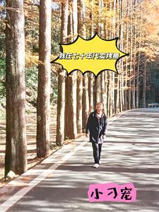 我在七十年代养老