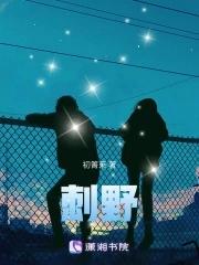 刺野玫 歌手