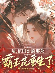 镇国公府白