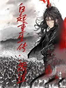 主角是白起转世的