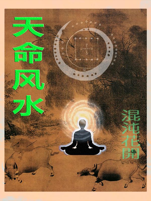 天命风水师陈长生免费阅读