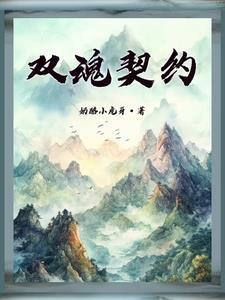 双魂结尾没看懂