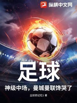 曼城现役中场