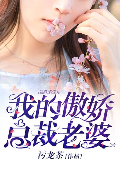 我的傲娇总裁老婆慕晚清
