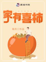 电视剧家有喜媳