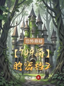 749局秘闻评价