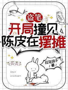 盗墓从老九门开始隐藏