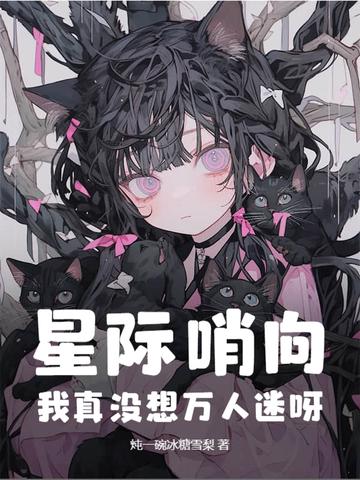 哨向文