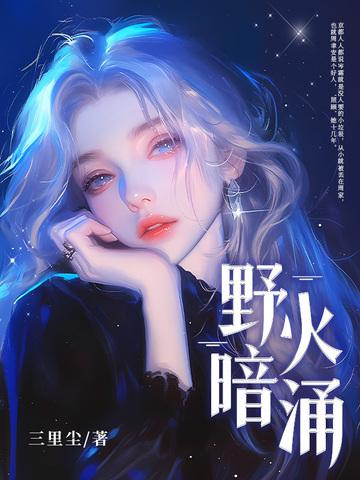 野火aa