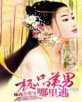 极品美男的基因是甜文吗