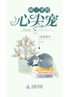 儿子用440元让小三是什么电视剧