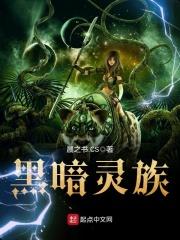 黑暗灵魂师