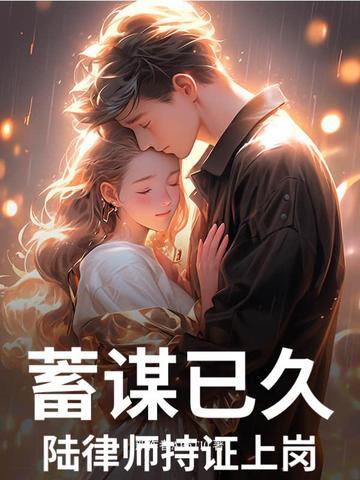 男主是陆律师的