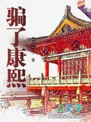 骗了康熙 txt 八零电子书