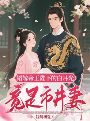 错嫁皇妃