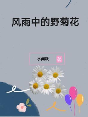 老太太死了四个儿子报仇