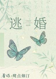 逃婚之后全文阅读无防盗