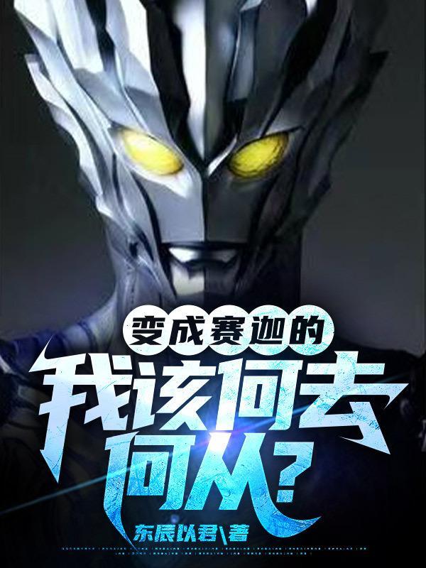 赛迦变身器