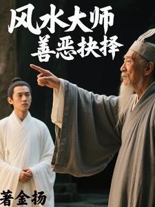 风水大师案件