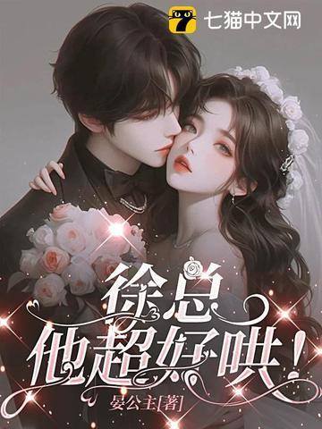 徐总他超好哄
