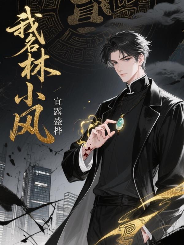 我叫林小系