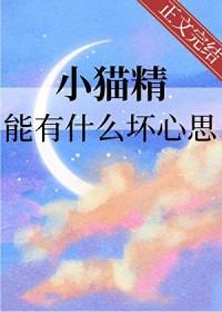 小猫精能有什么坏心思番外