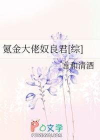 氪金大佬奴良君综书包网