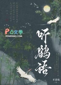 听鹤语不老松