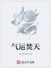气运天书