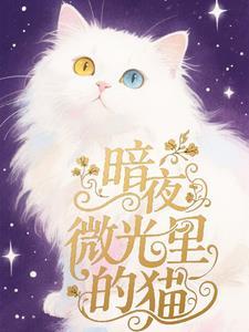 暗夜微光里的猫图片