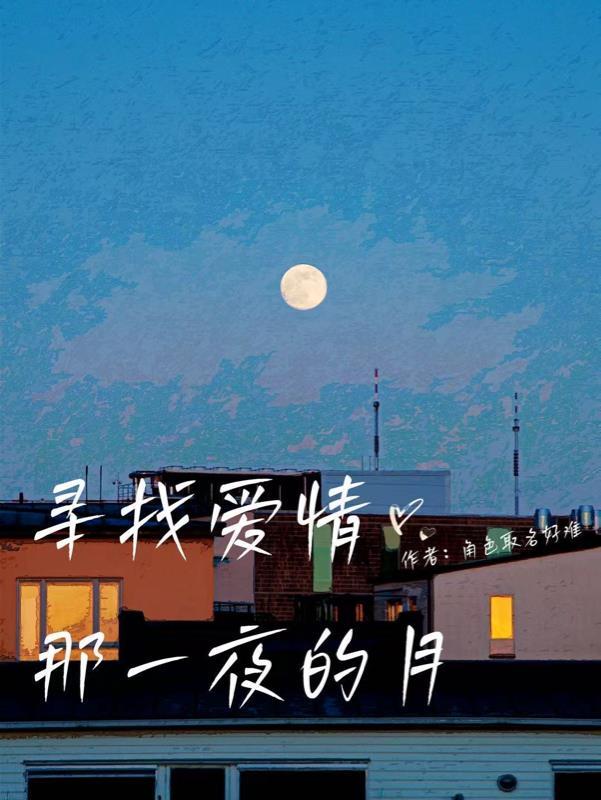 寻找一下爱情