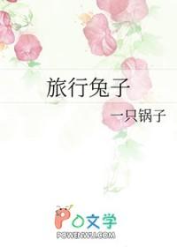 旅行中的兔子百家号