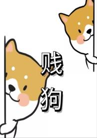 贱狗是什么意思?