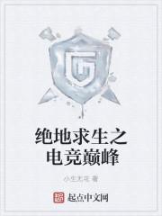 绝地求生电竞系统文