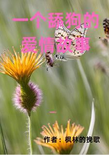 舔狗式爱情的句子