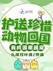 马特马特