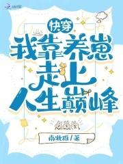 诸天武道从武当开始 食盒