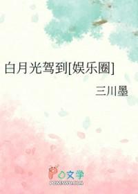 不可思议的亚瑟王免费阅读