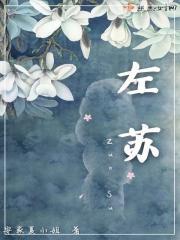 二硫化硒洗剂