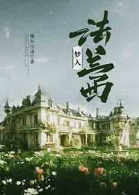 红楼梦之黛玉之死