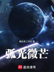 弧光微芒免费阅读