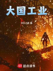 大国工业txt精校全本